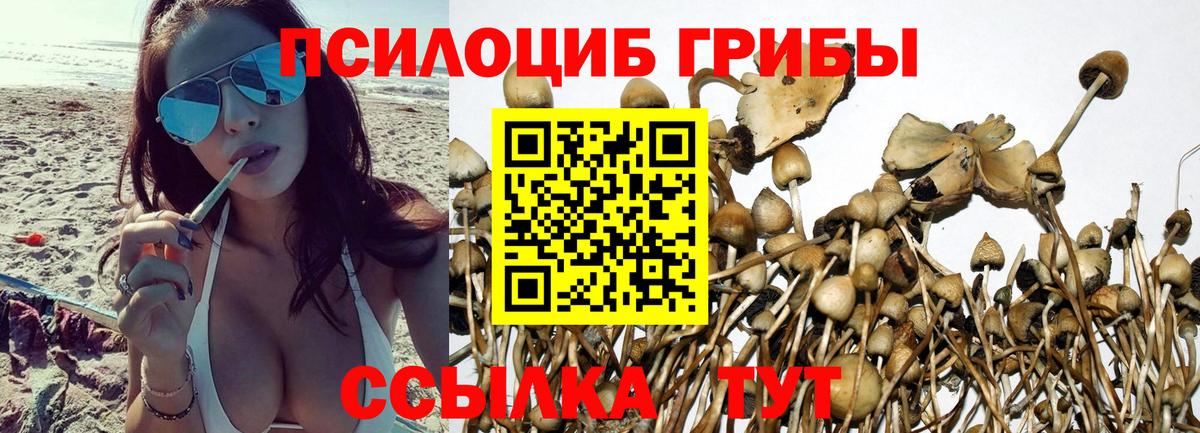Галлюциногенные грибы GOLDEN TEACHER Мытищи