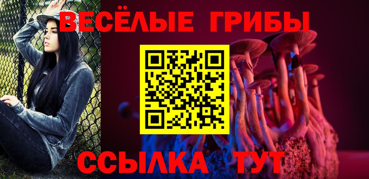 Галлюциногенные грибы Cubensis  Галлюциногенные грибы Magic Shrooms  Мытищи  Вход с VPN 